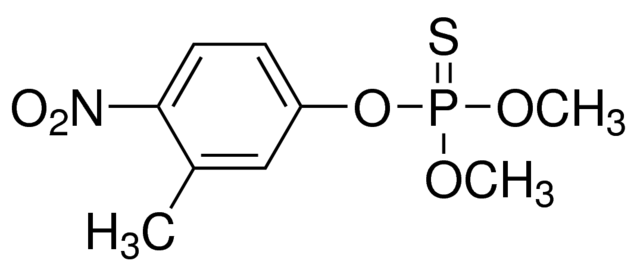 乙腈中殺螟硫磷溶液，100μg/mL